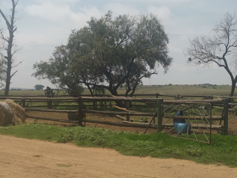 Commercial Property for Sale in Senekal Rural Free State